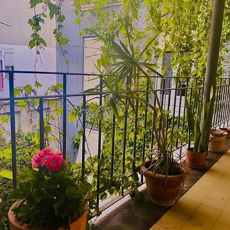 Innsevillaluxury Apartment Pilatos Exterior photo